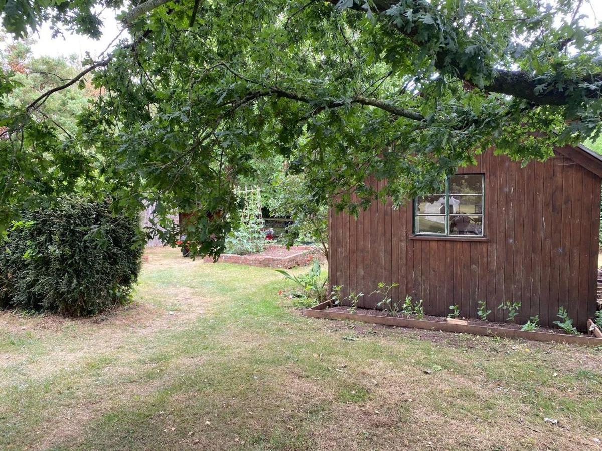 Orchard Cabin Herefordshire Wye Valley Ross-on-Wye Bagian luar foto